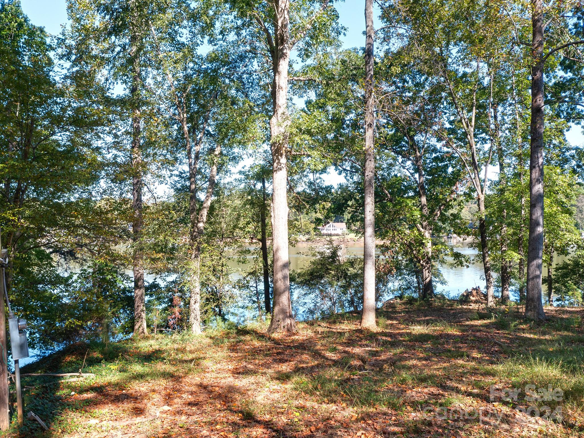 113 Patternote Road Mooresville, NC 28117 - Photo 6 of 19 Gallery Image 6