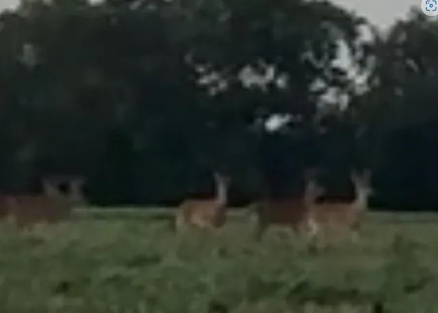 a view of a lake with a yard