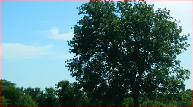 $2,202,434 | 1120 Dallas Street, Italy, TX 76651