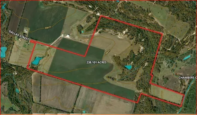 a view of a lush green field