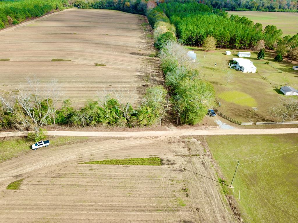 3.42-acres Summer Road Slocomb, AL 36375 - Photo 18 of 24