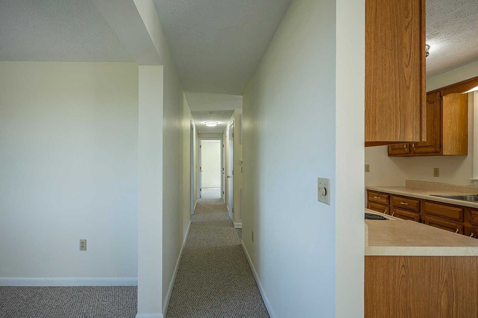 7194 Trissels Road Broadway, VA 22815 - Photo 23 of 49 Gallery Image 23