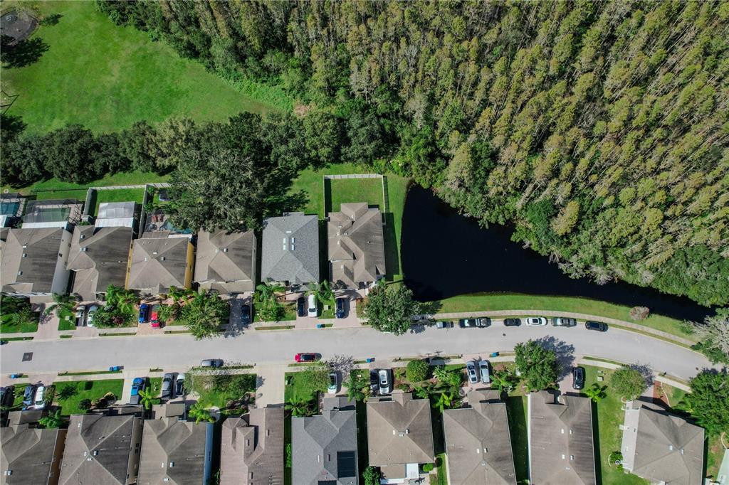 12847 Solola Way Trinity, FL 34655 - Photo 61 of 62