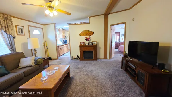 a view of a backyard with large trees