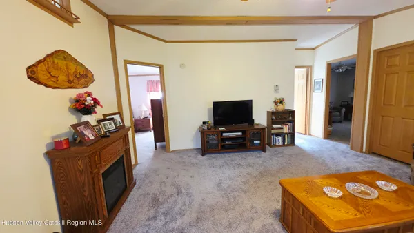 a view of a house with a yard plants and a large tree