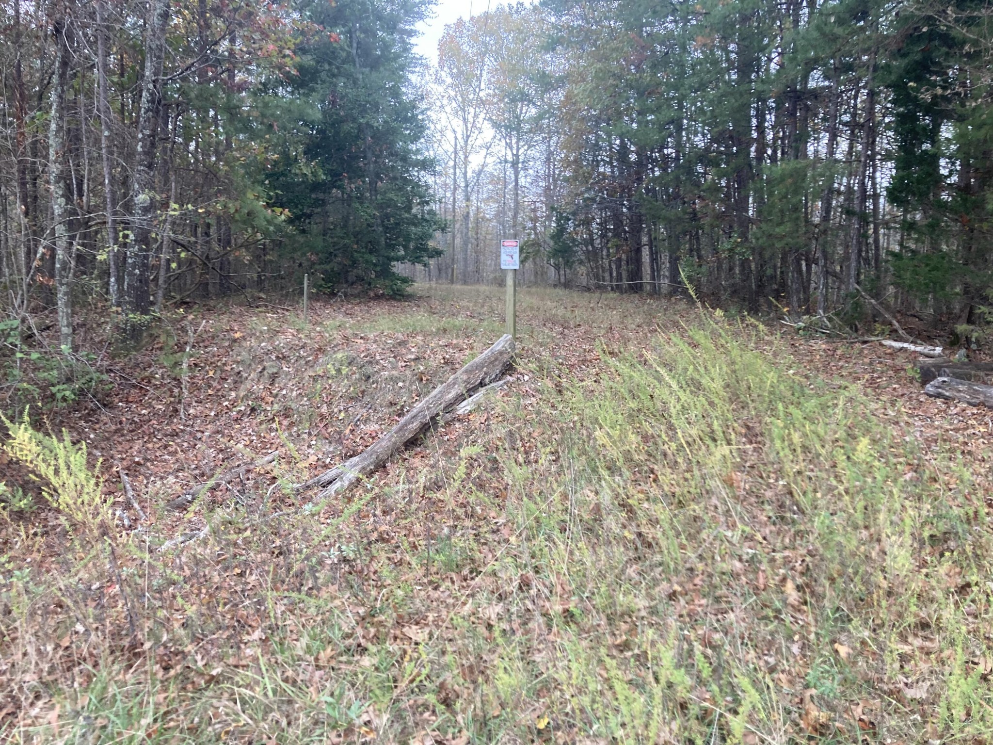 0 New Home Loop Trenton, GA 30752 - Photo 3 of 5