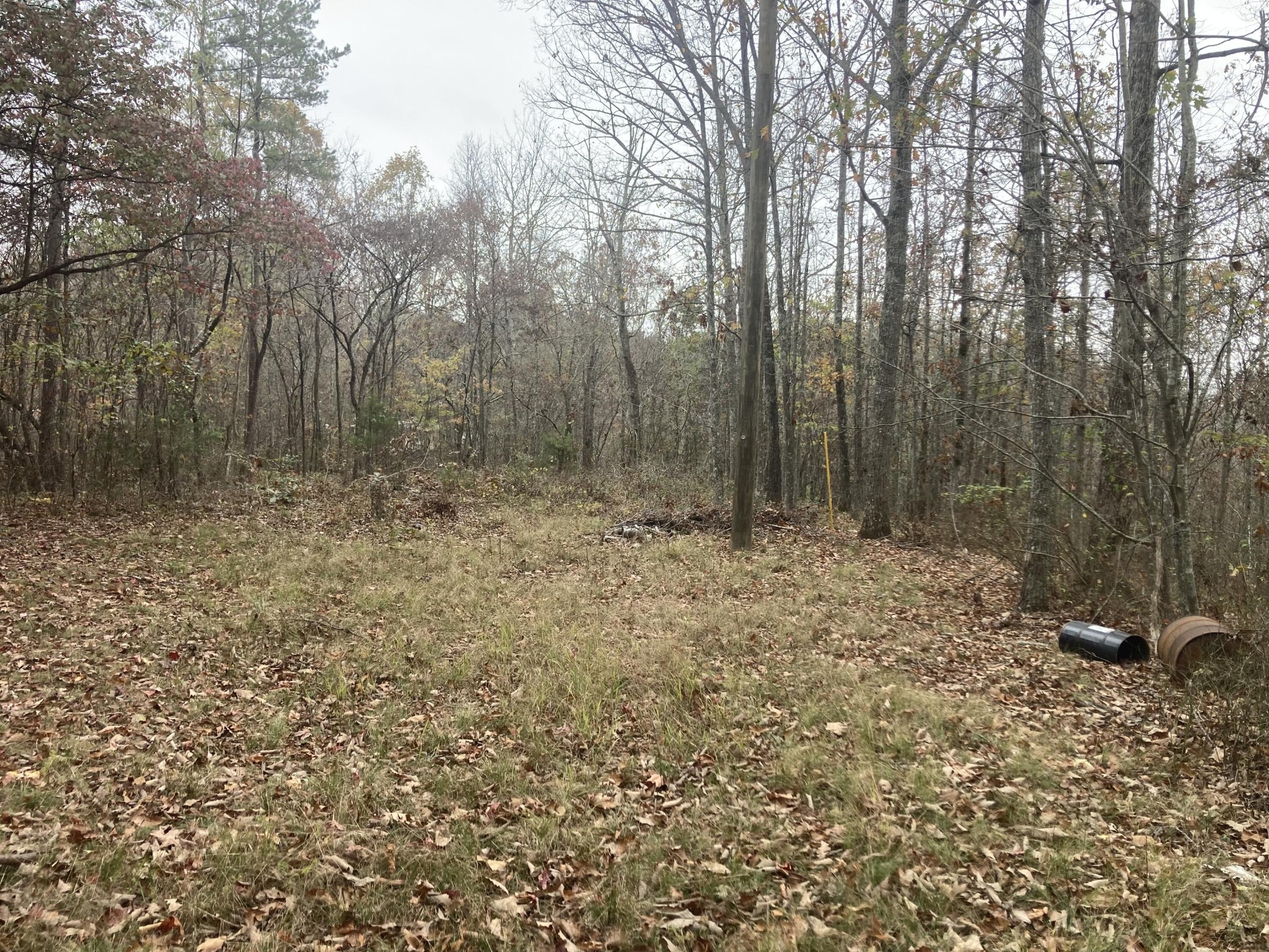 0 New Home Loop Trenton, GA 30752 - Photo 5 of 5