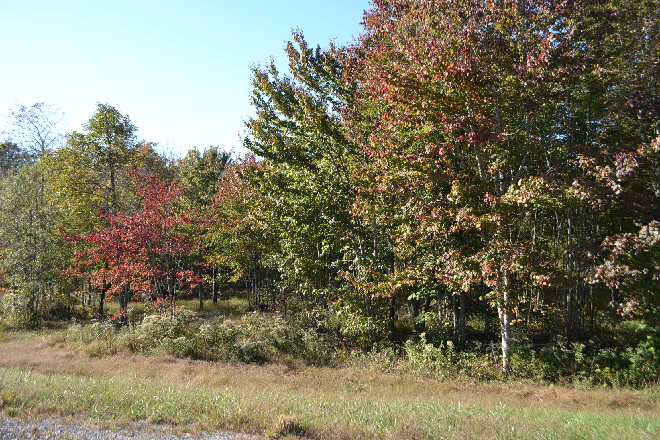 0 High Point Lane, Unit 89AS Jasper, TN 37347 - Photo 20 of 35 DSC_0803