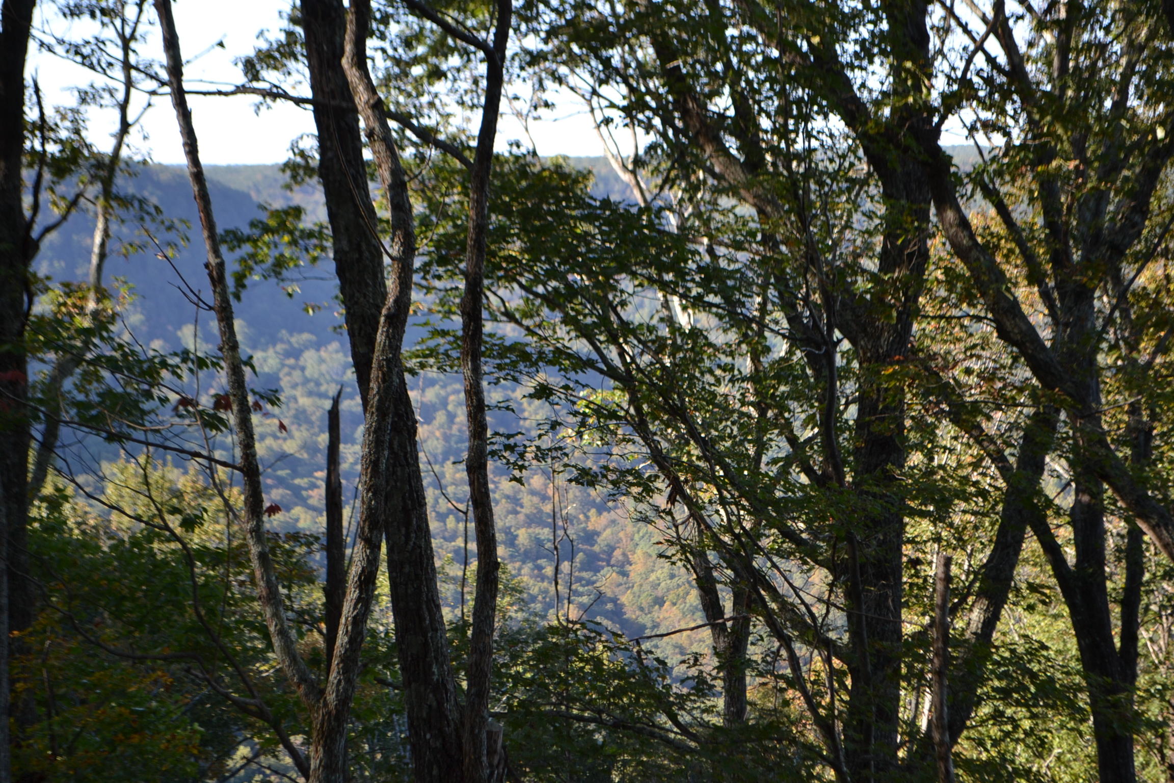 0 High Point Lane, Unit 89AS Jasper, TN 37347 - Photo 21 of 35 DSC_0804