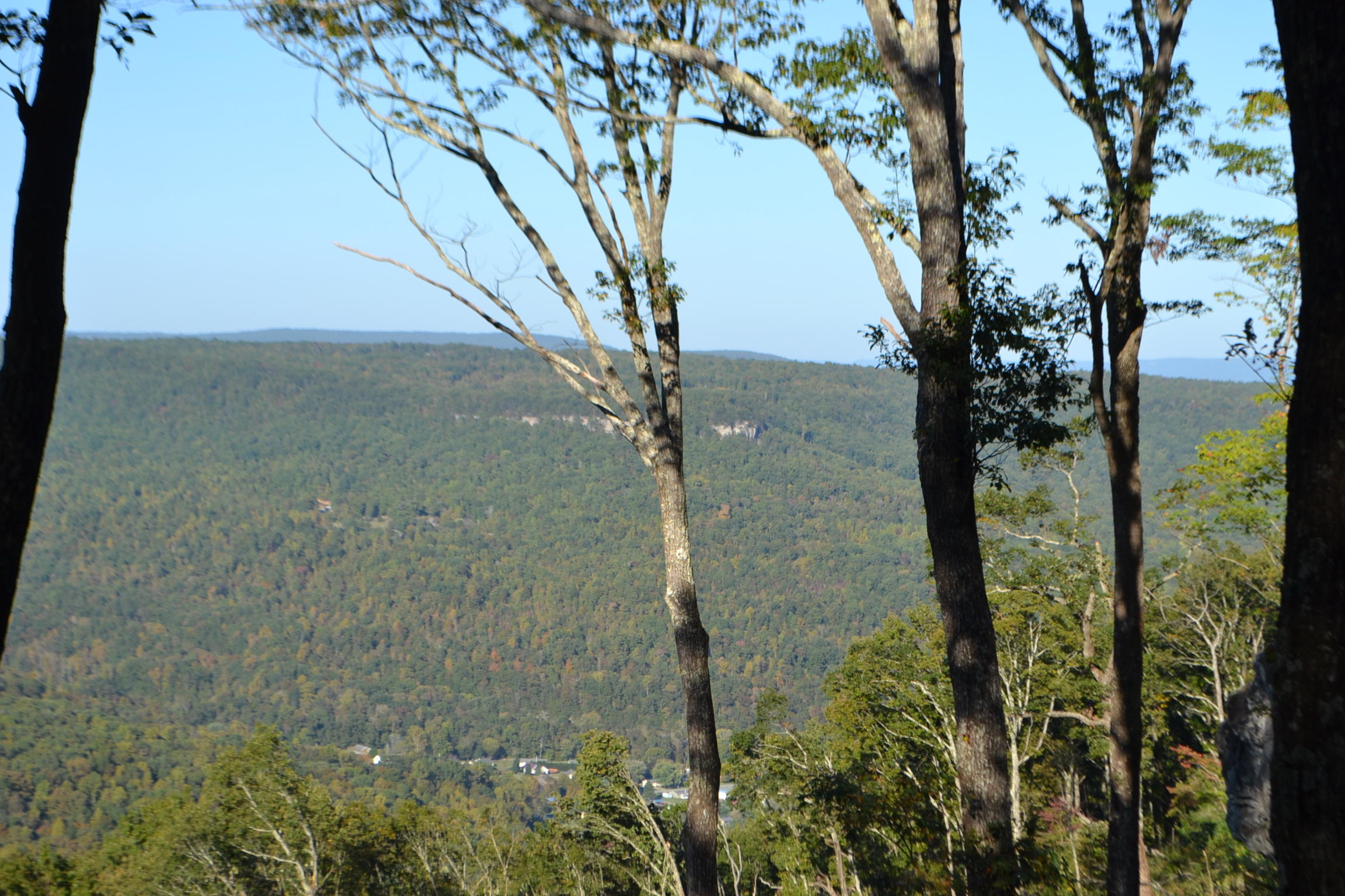 0 High Point Lane, Unit 89AS Jasper, TN 37347 - Photo 22 of 35 DSC_0805