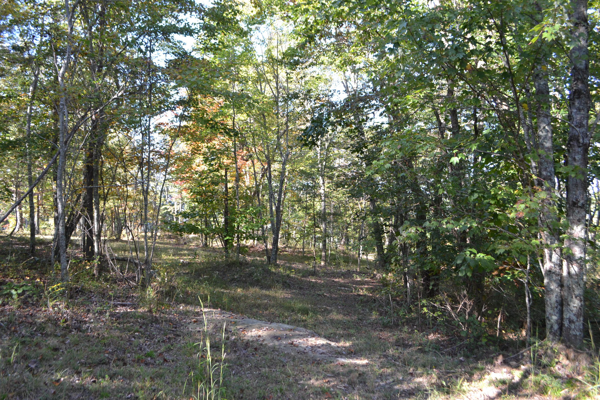 0 High Point Lane, Unit 89AS Jasper, TN 37347 - Photo 10 of 35 DSC_0784