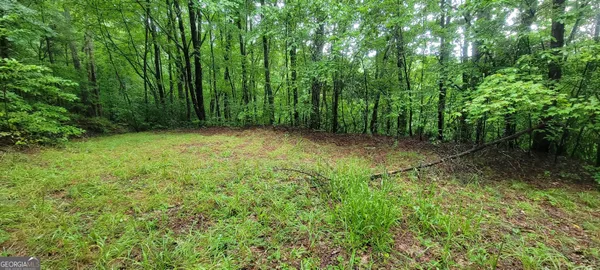 $15,900 | 0 Bonanza Lane, Tiger, GA 30576
