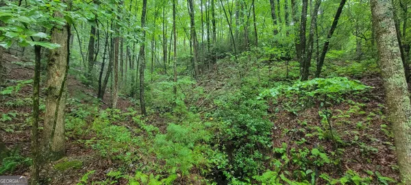 $15,900 | 0 Bonanza Lane, Tiger, GA 30576