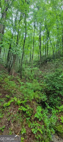 $15,900 | 0 Bonanza Lane, Tiger, GA 30576