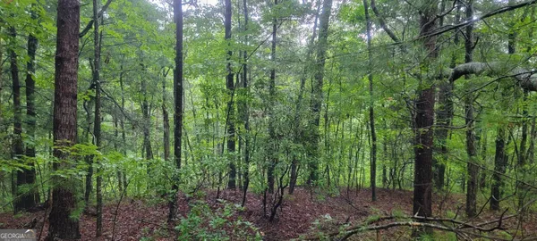 $15,900 | 0 Bonanza Lane, Tiger, GA 30576