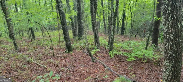 $15,900 | 0 Bonanza Lane, Tiger, GA 30576