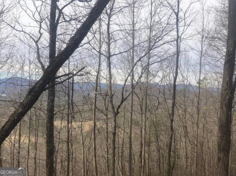 0 Bonanza Lane Tiger, GA 30576 - Photo 5 of 14 a view of forest