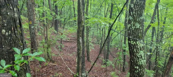 $15,900 | 0 Bonanza Lane, Tiger, GA 30576