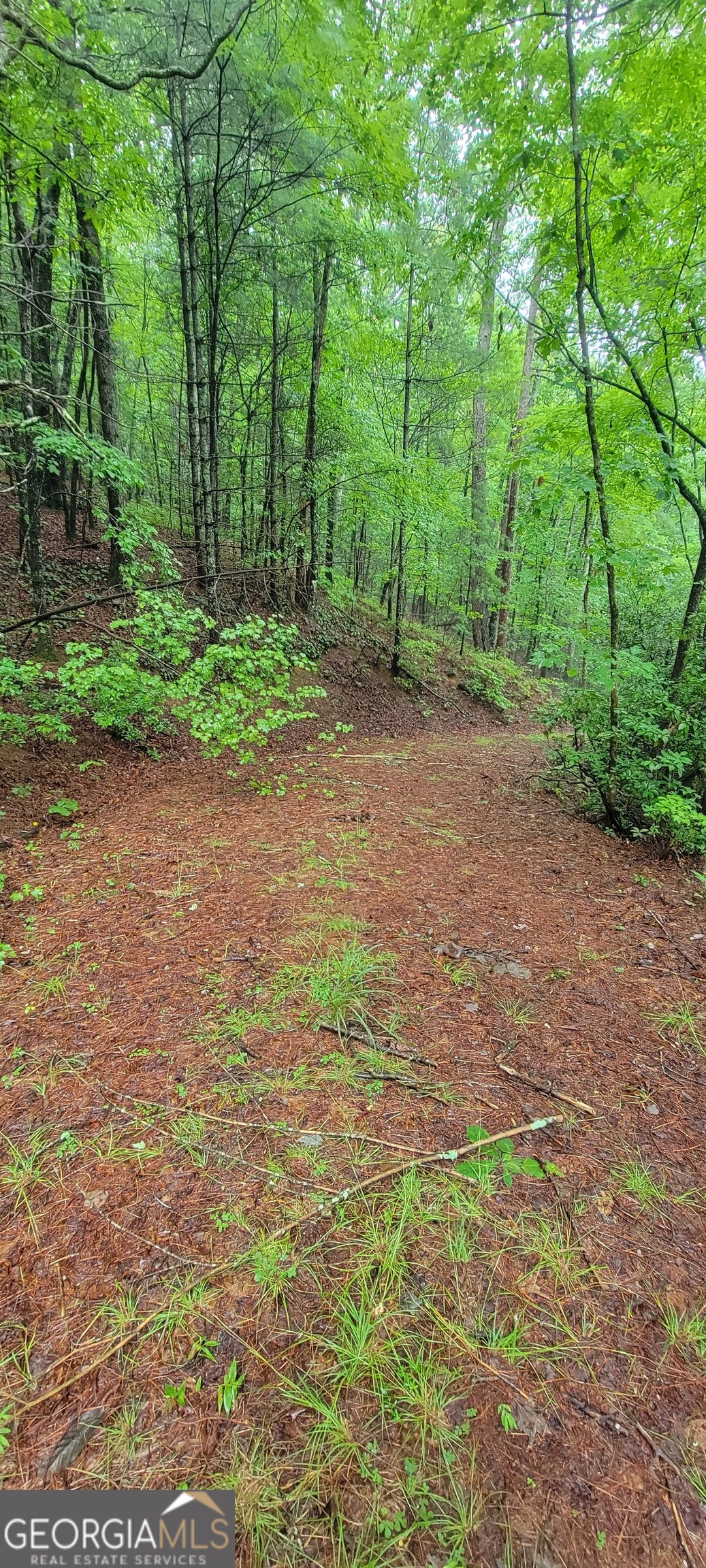 0 Bonanza Lane Tiger, GA 30576 - Photo 10 of 14 a view of a field with trees in the background