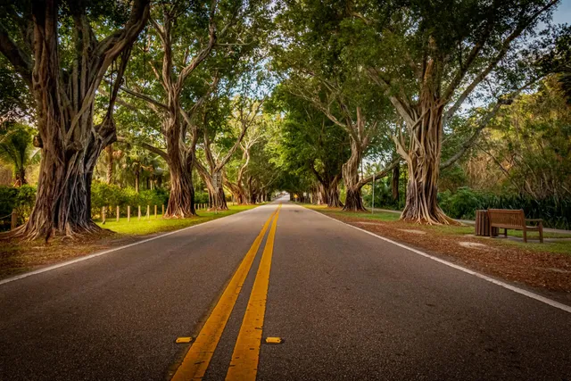 a view of a road with a trees