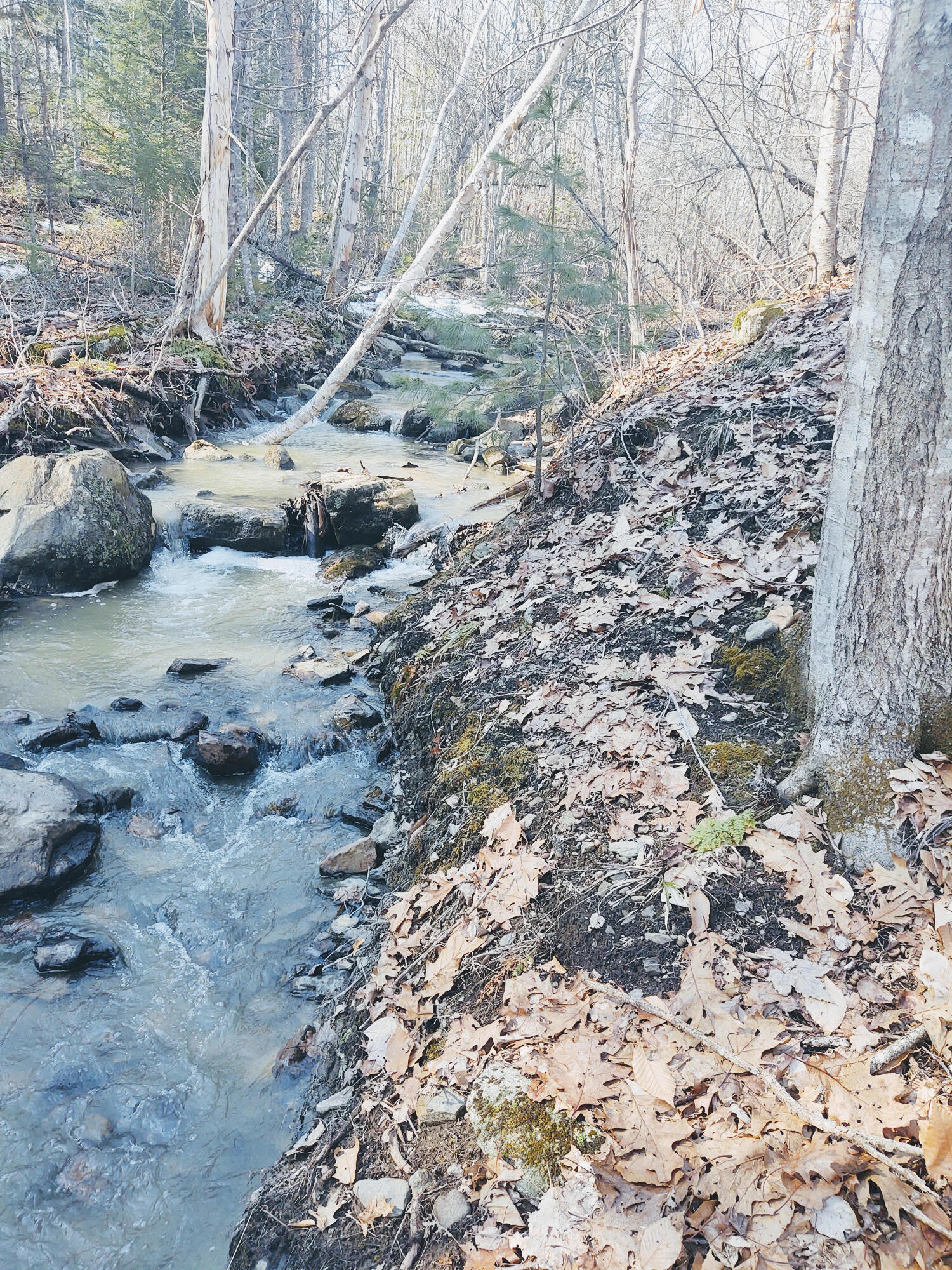 23 Castine Road Orland, ME 04472 - Photo 28 of 30 Stream