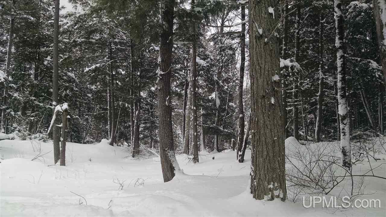 74 A Co Road Wetmore, MI 49895 - Photo 5 of 5