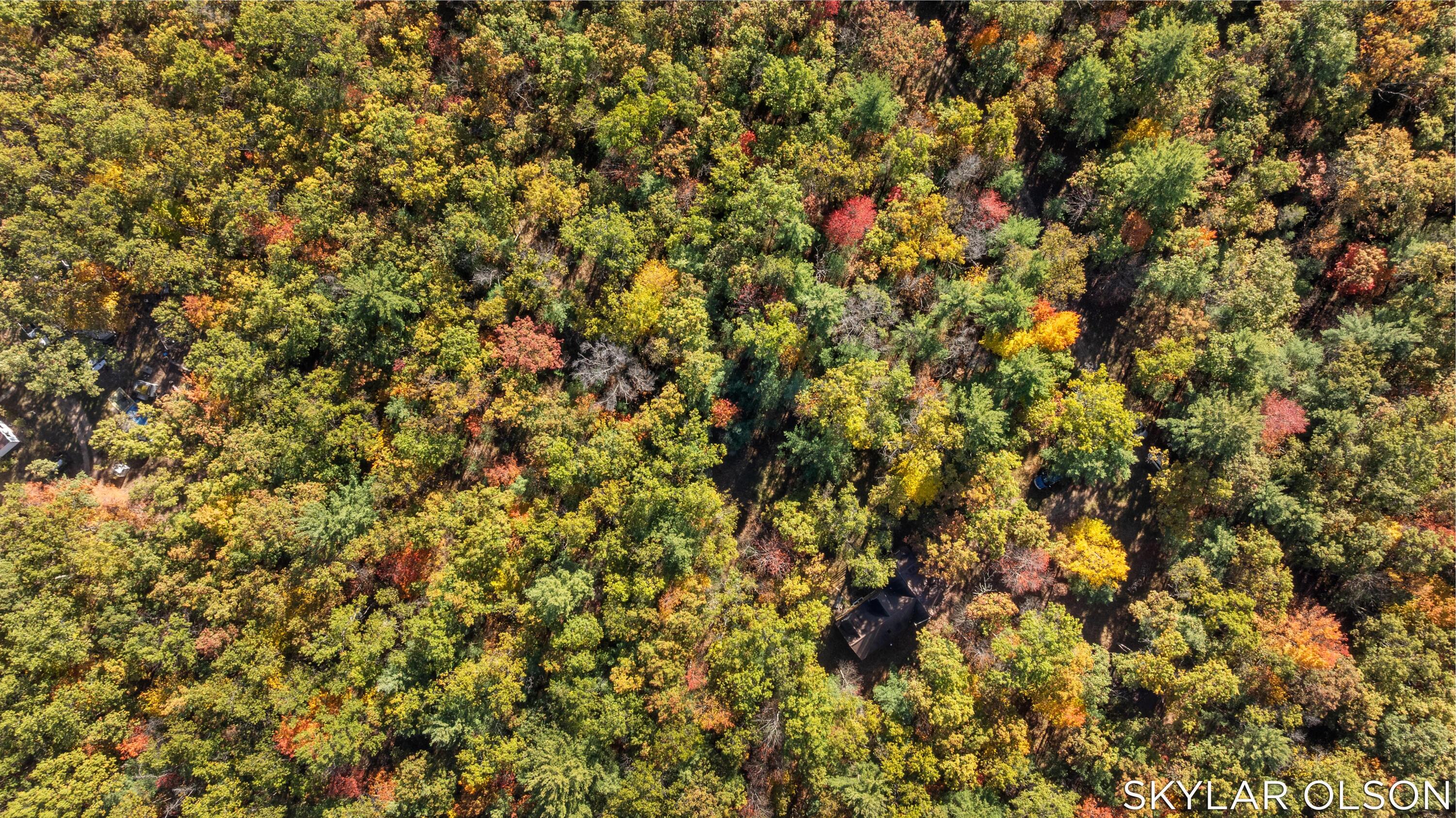 10711 North Tuttle Road Free Soil, MI 49411 - Photo 48 of 54 48-print-DJI_20251016111622_0493_D