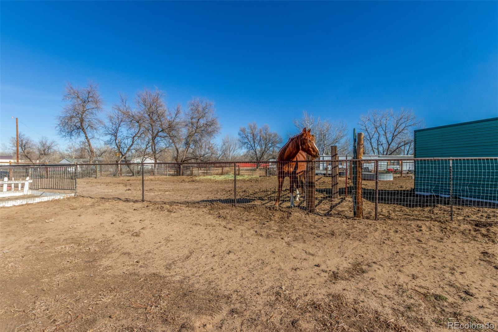 15528 Nancy Avenue Fort Lupton, CO 80621 - Photo 33 of 35