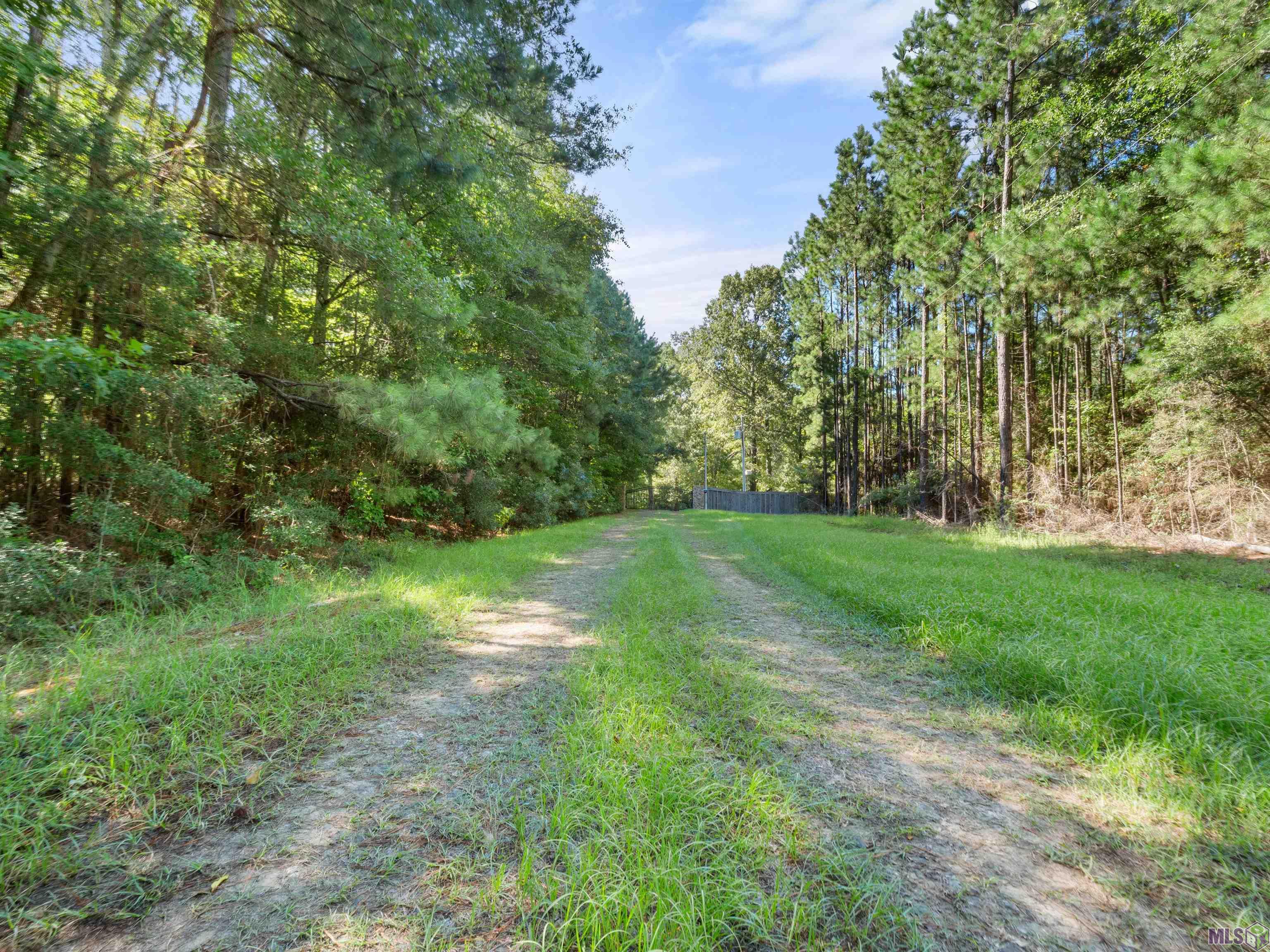 309 Lynch Clements Road Noble, LA 71462 - Photo 15 of 22 Gallery Image 15