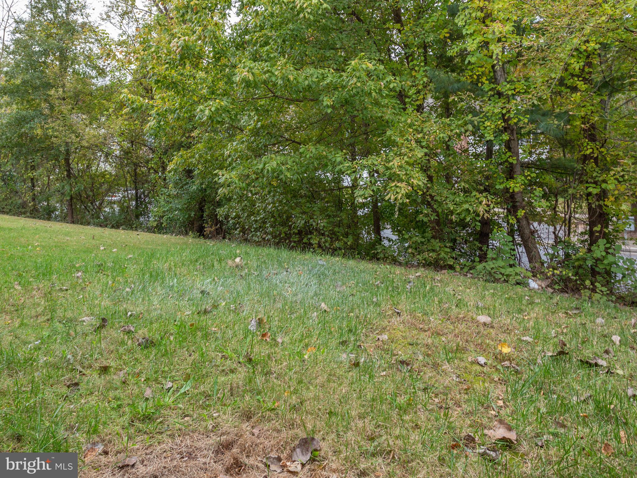 8723 Jarwood Road Baltimore, MD 21237 - Photo 43 of 43 Back yard