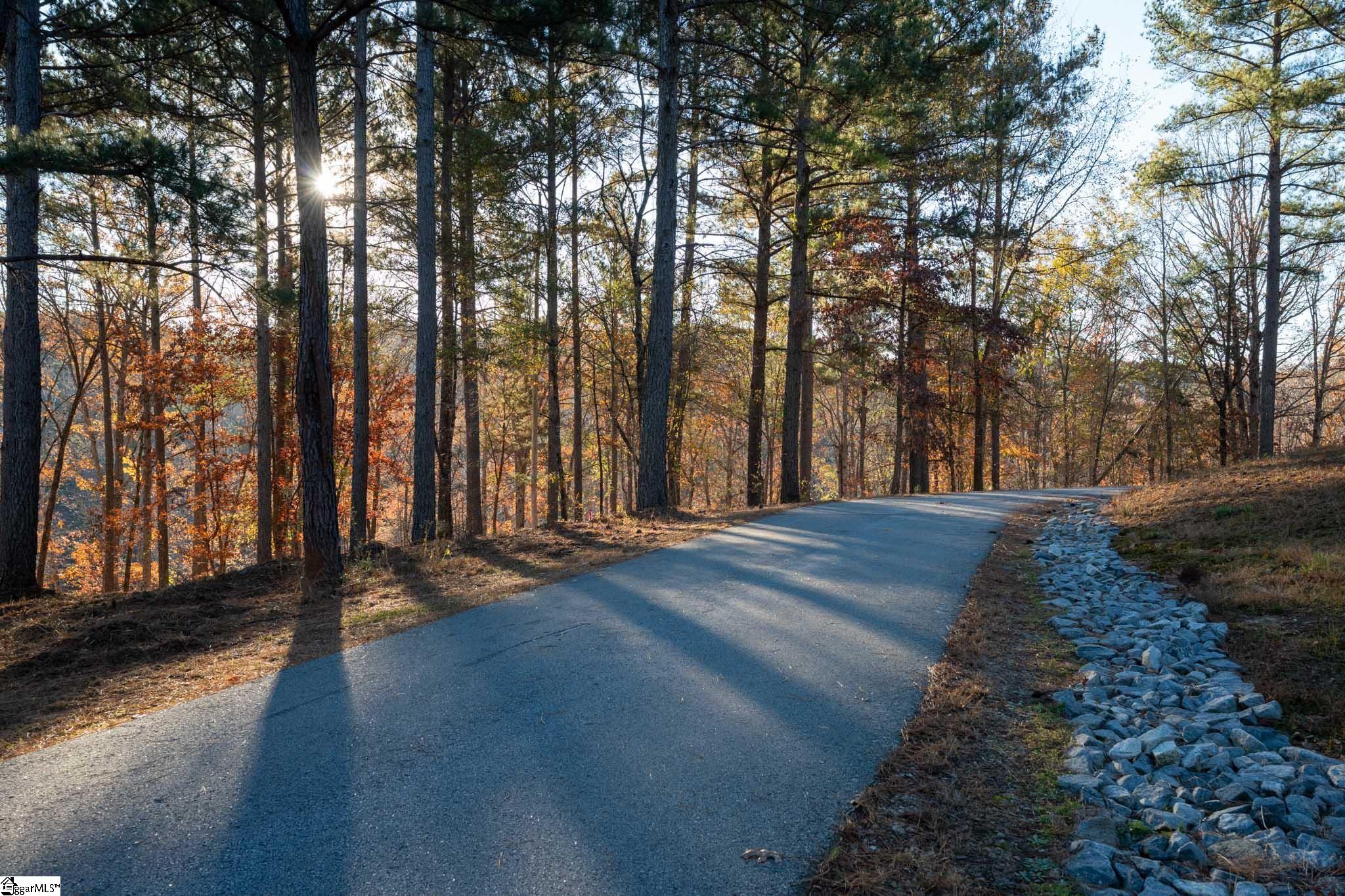 0 Hideaway Cv Drive Seneca, SC 29672 - Photo 5 of 15