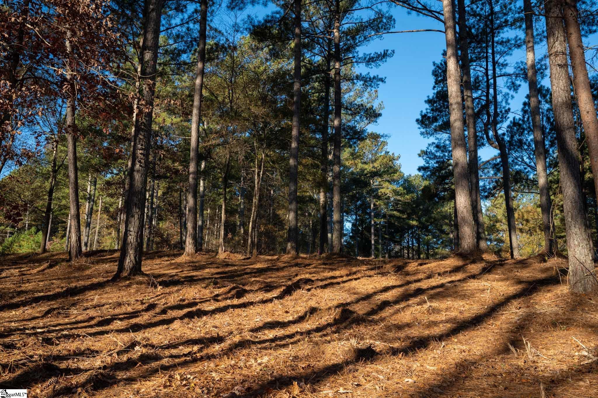0 Hideaway Cv Drive Seneca, SC 29672 - Photo 7 of 15