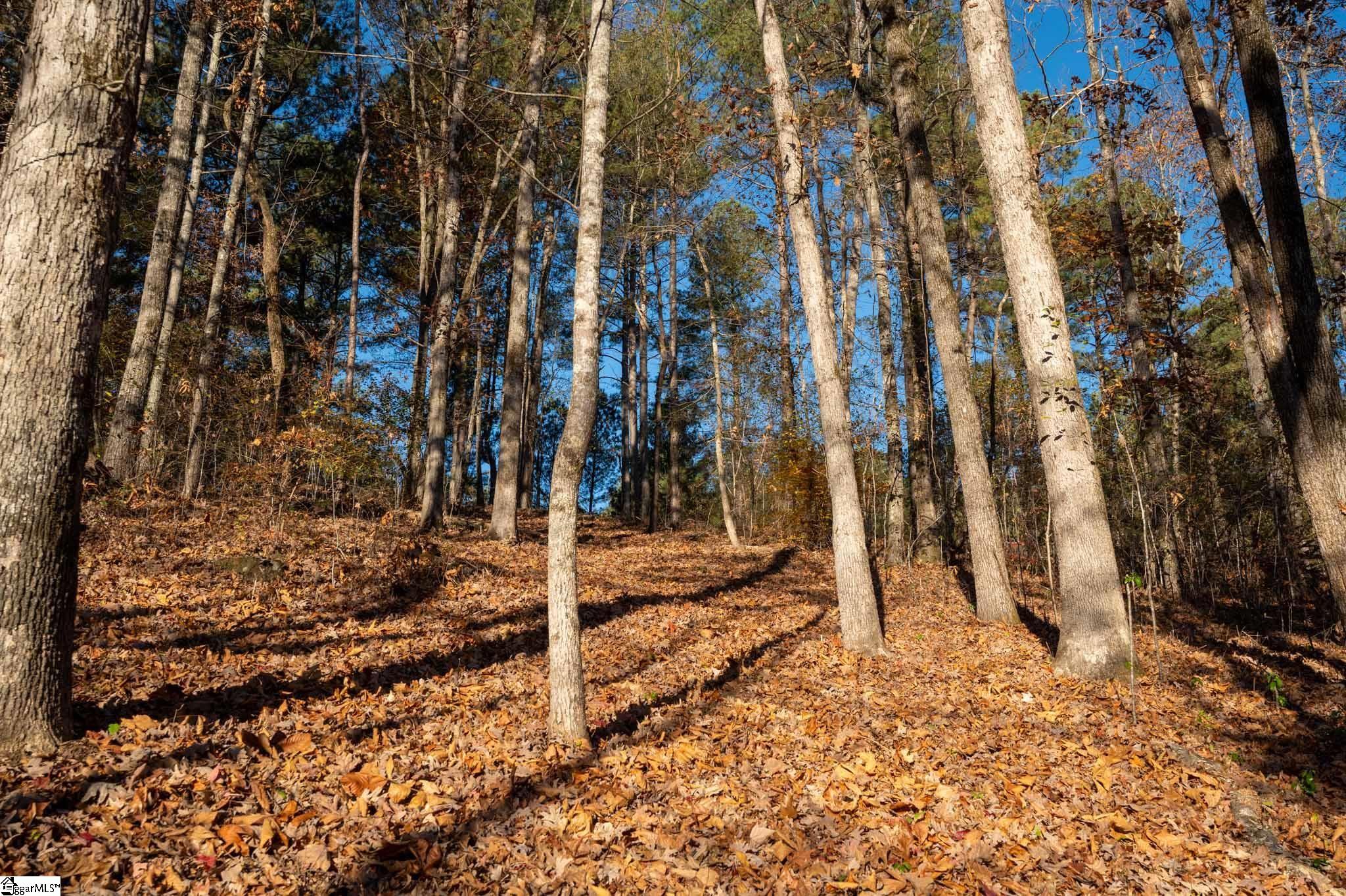 0 Hideaway Cv Drive Seneca, SC 29672 - Photo 8 of 15