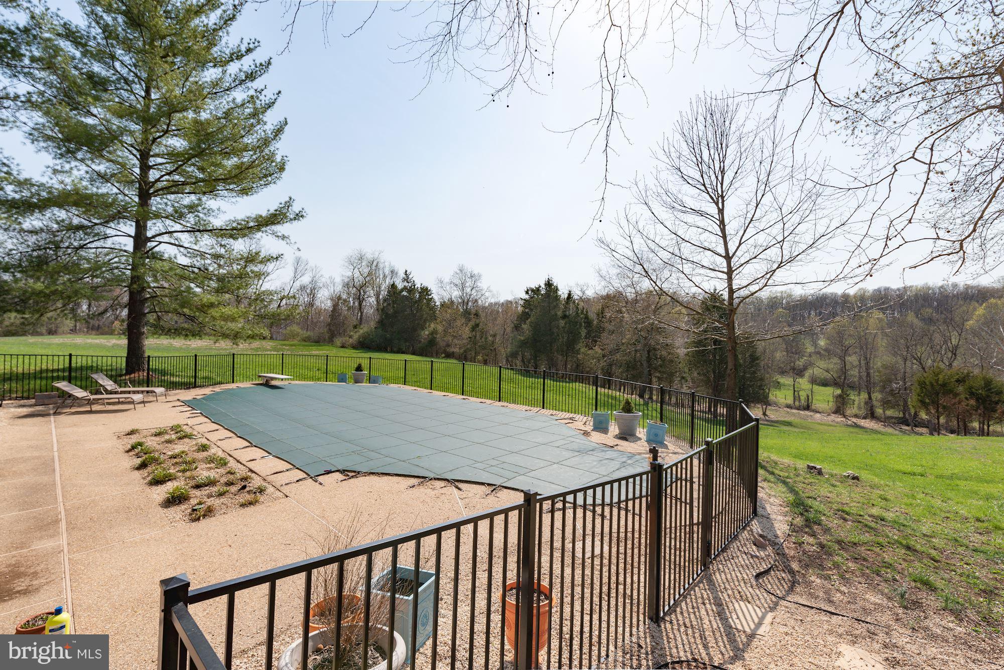 20627 Gleedsville Road Leesburg, VA 20175 - Photo 25 of 28 Private outdoor pool!