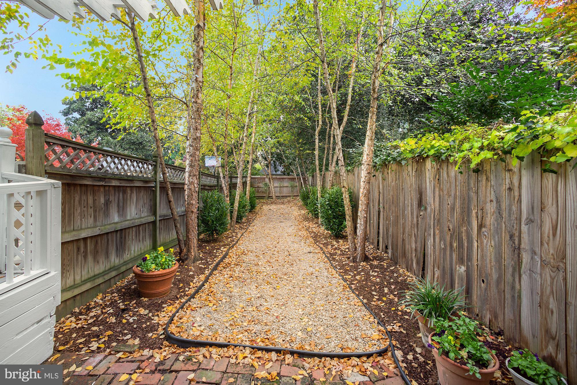 1416 35th Street Northwest Washington, DC 20007 - Photo 14 of 27 Terrace Level Rear Private Garden