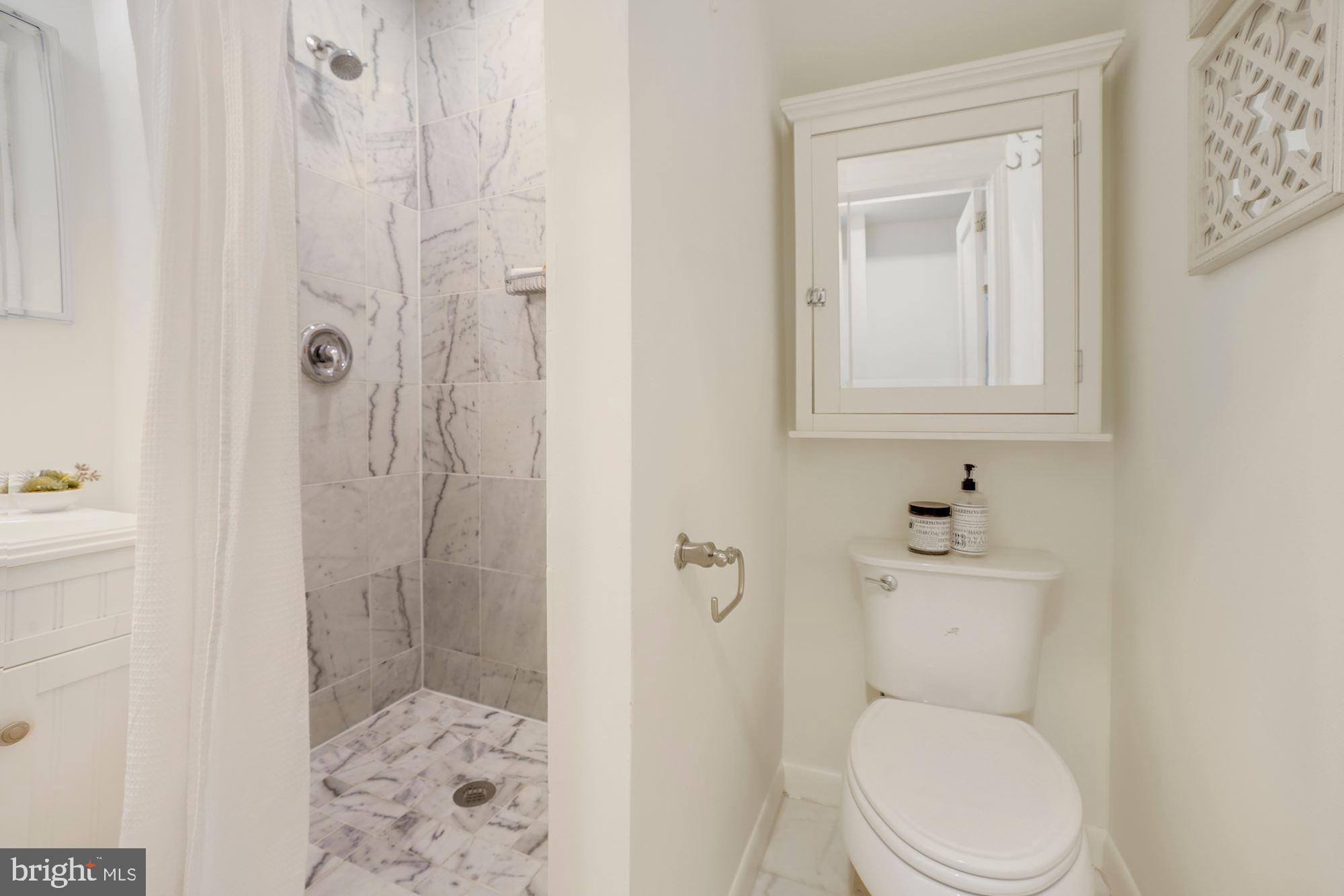 1416 35th Street Northwest Washington, DC 20007 - Photo 16 of 27 Terrace Level Bathroom