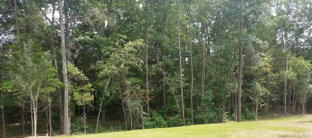 954 Castlewatch Drive, Unit 111 Fort Mill, SC 29708 - Photo 4 of 21 Gallery Image 4
