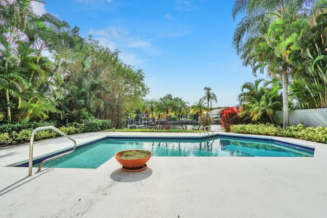 a view of a garden with plants
