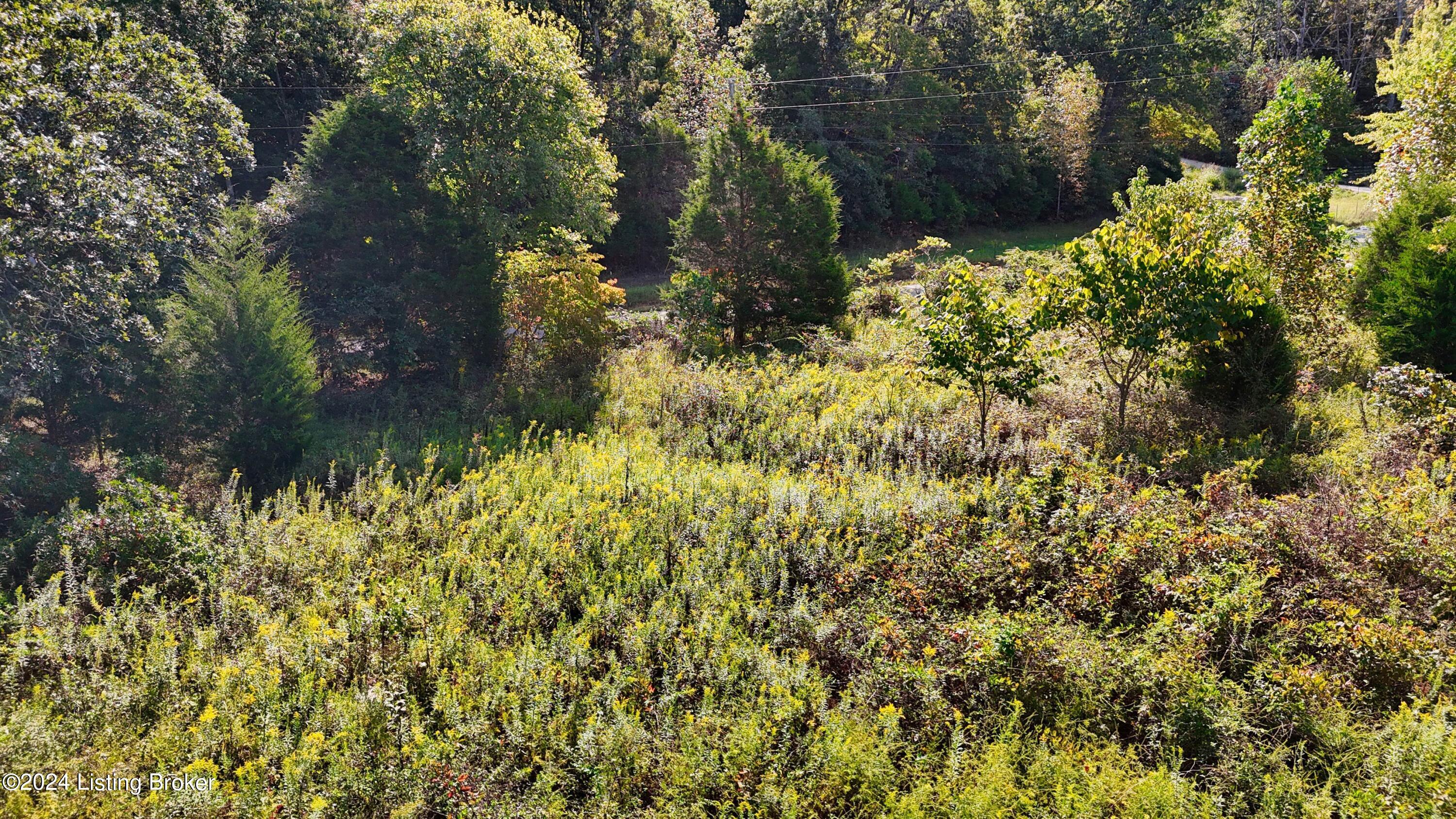 Lot 5 Horn Road Cecilia, KY 42724 - Photo 27 of 28 Horn Rd 55