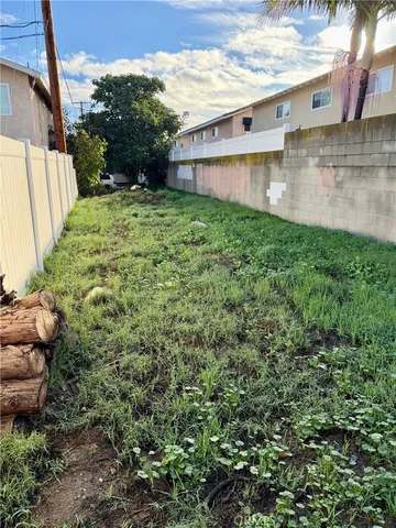 a view of a backyard with plants