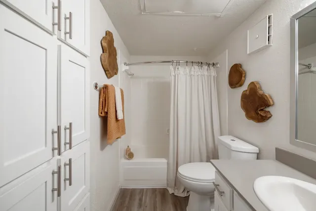a bathroom with a toilet and a shower