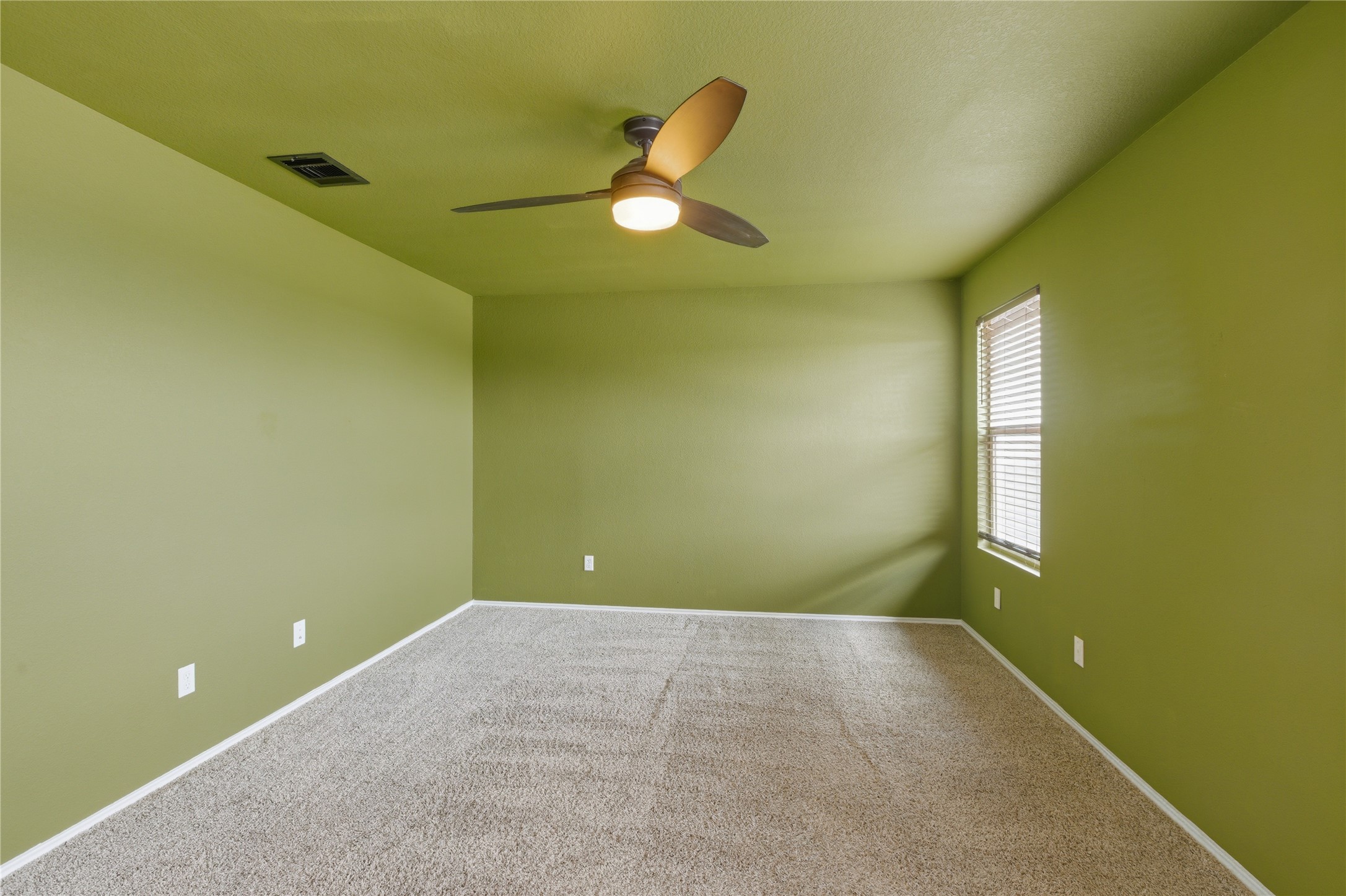 116 Night Riders Way Jarrell, TX 76537 - Photo 23 of 40 Primary Bedroom with textured green walls and a neutral carpet
