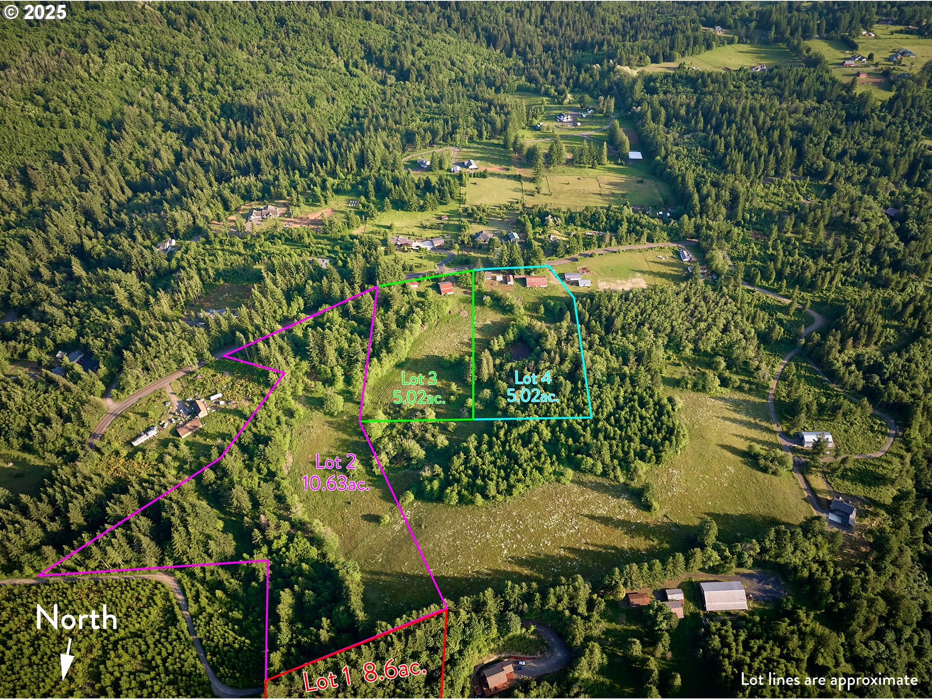 1781 Mabee Mines Road, Unit 2 Washougal, WA 98671 - Photo 12 of 15 a view of a yard with plants and large trees