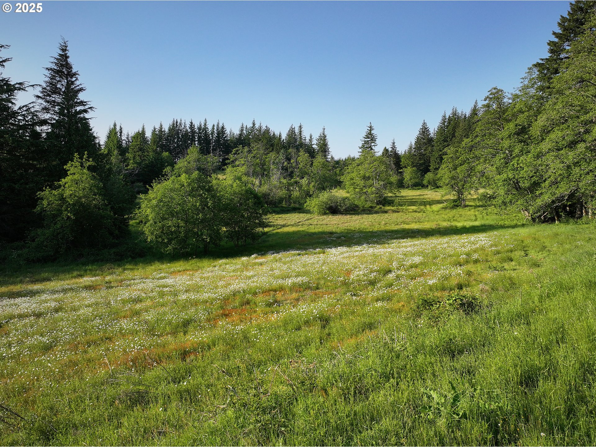 1781 Mabee Mines Road, Unit 2 Washougal, WA 98671 - Photo 2 of 15 a view of a field with a tree in the background