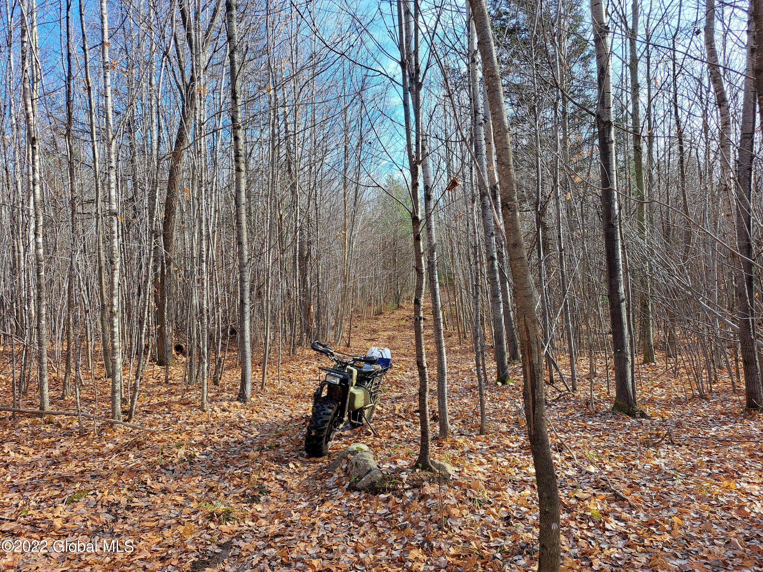 L1 Mud Pond Road Peru, NY 12972 - Photo 19 of 100 19 ATV Trail