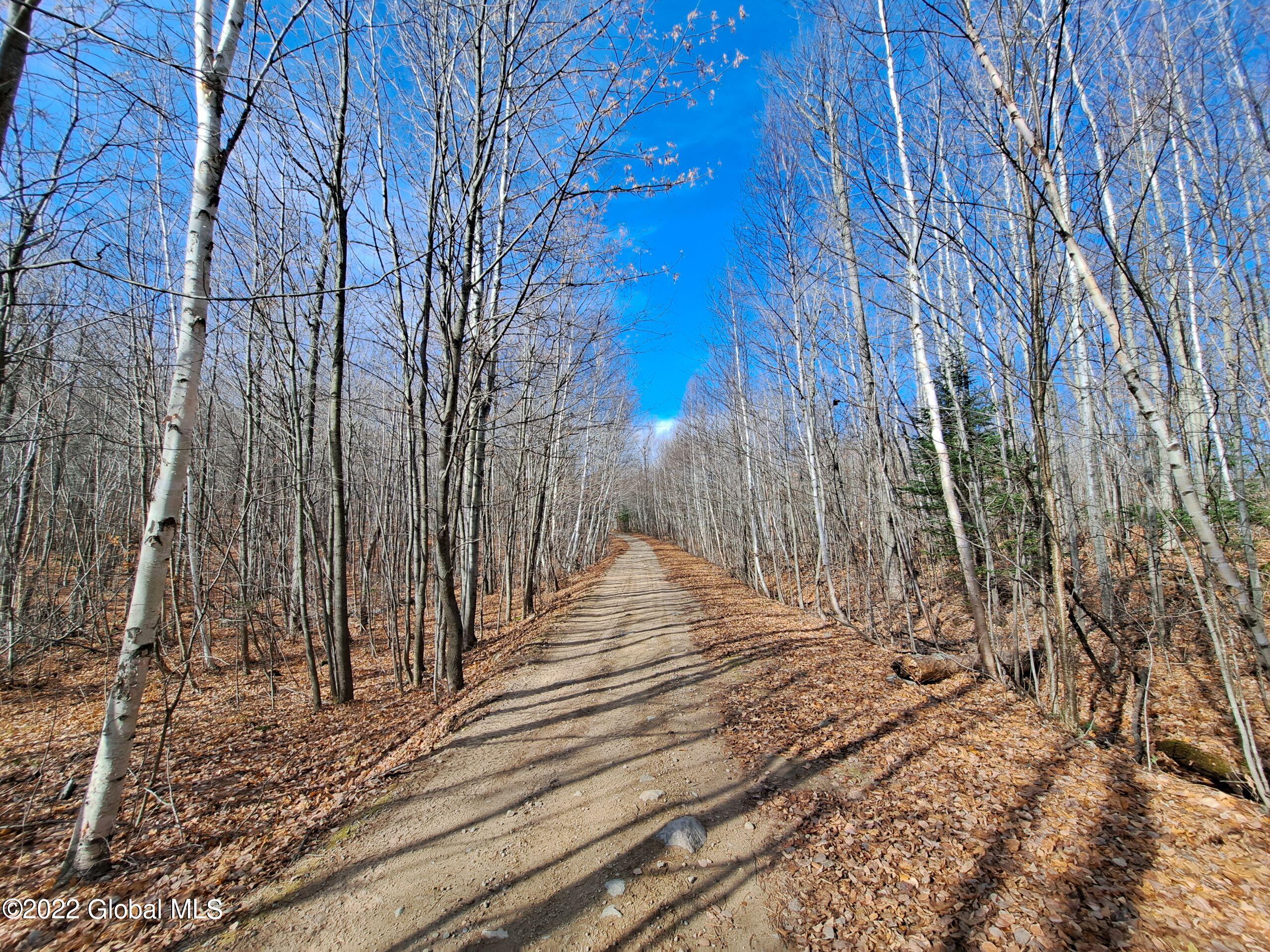L1 Mud Pond Road Peru, NY 12972 - Photo 21 of 100 21 Truck Road