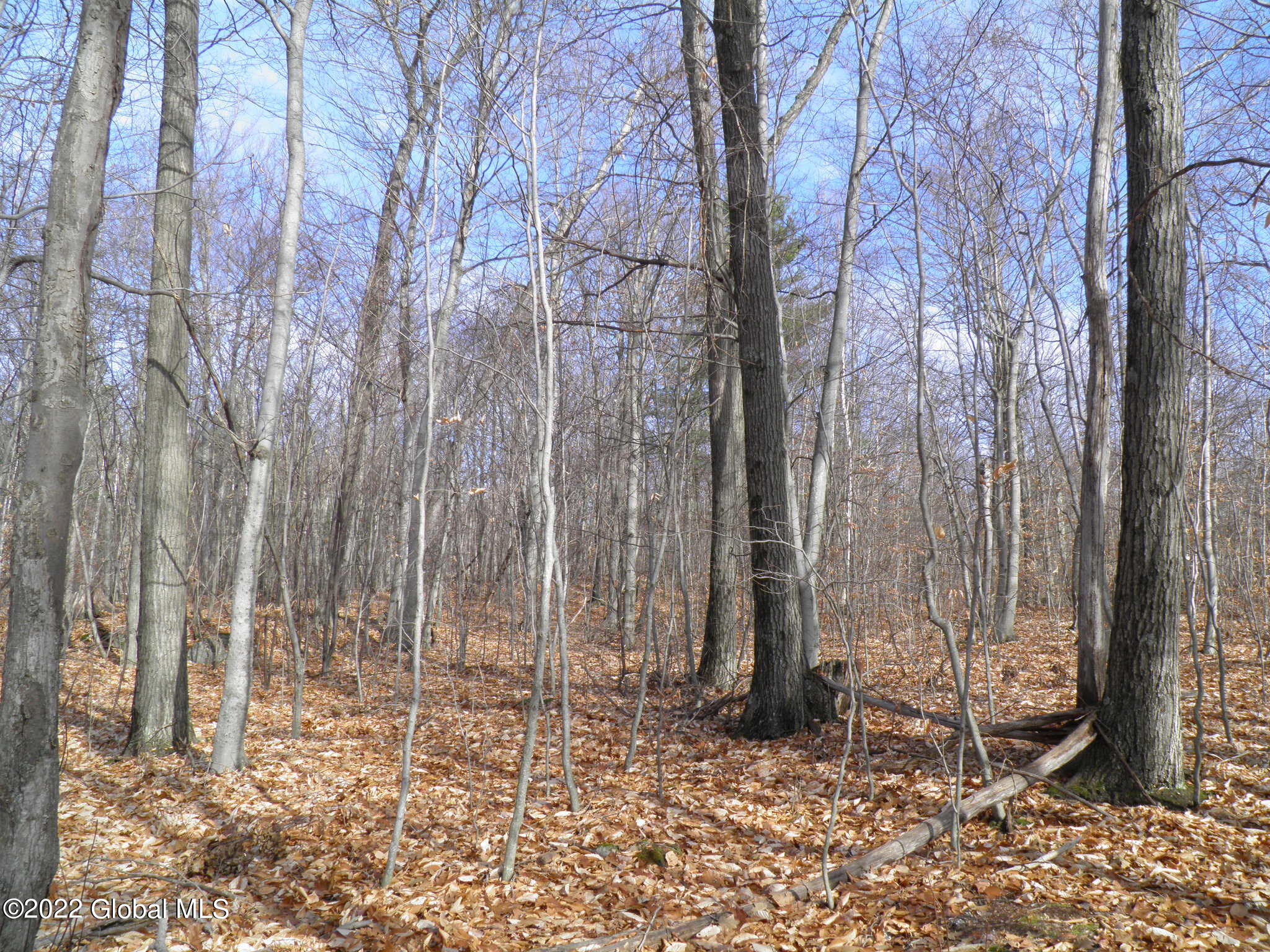 L1 Mud Pond Road Peru, NY 12972 - Photo 24 of 100 24 Red Oak Timber