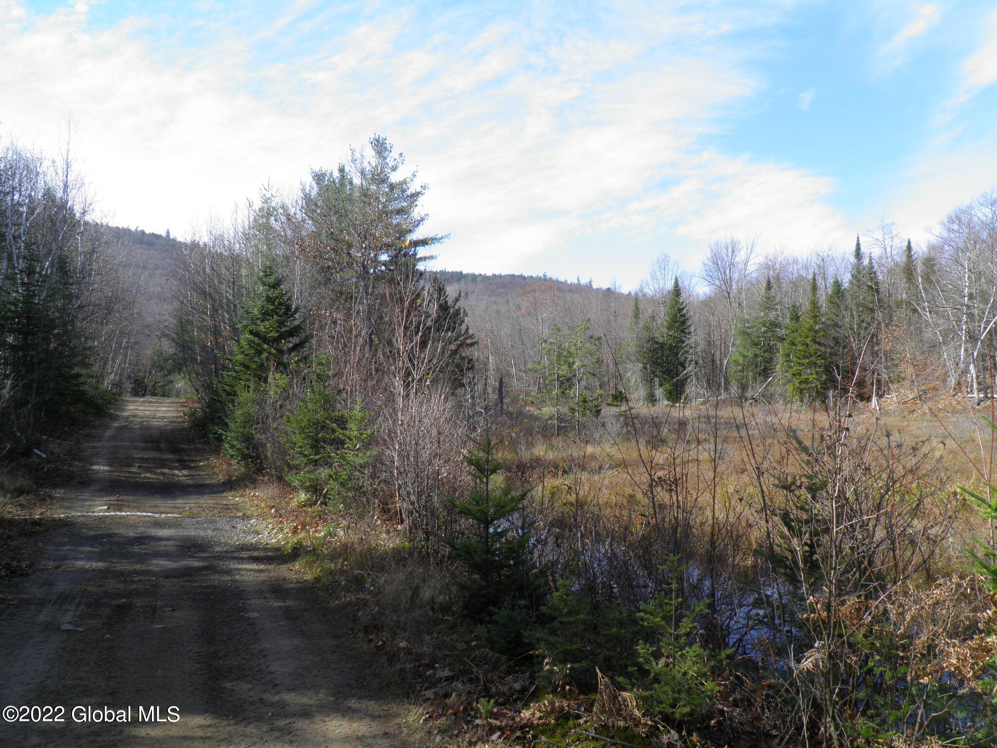 L1 Mud Pond Road Peru, NY 12972 - Photo 32 of 100 32 Woods Road & Wetland