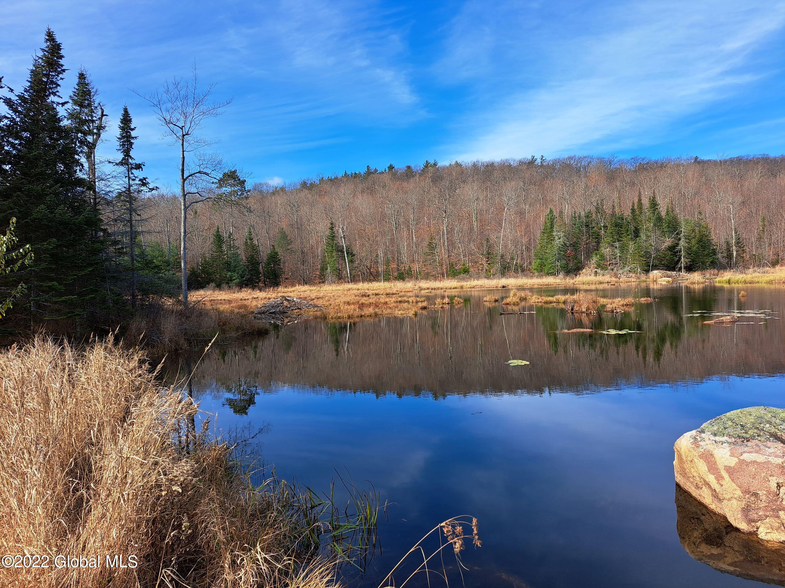 L1 Mud Pond Road Peru, NY 12972 - Photo 42 of 100 42 Chain of Beaver Ponds and Lodge