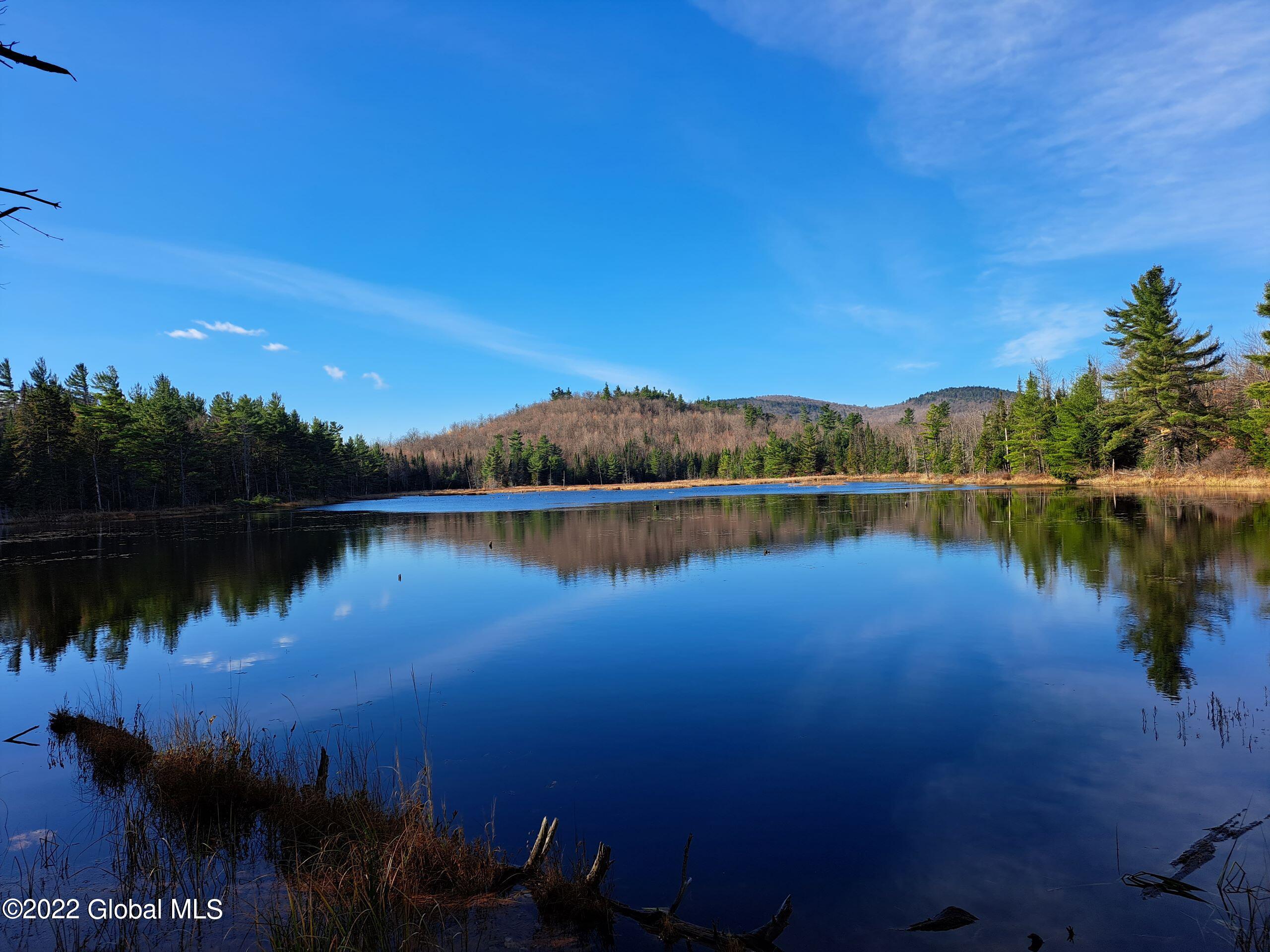 L1 Mud Pond Road Peru, NY 12972 - Photo 5 of 100 05 McGinnity Pond Westerly